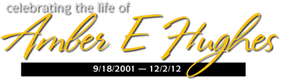 Amber E. Hughes Logo